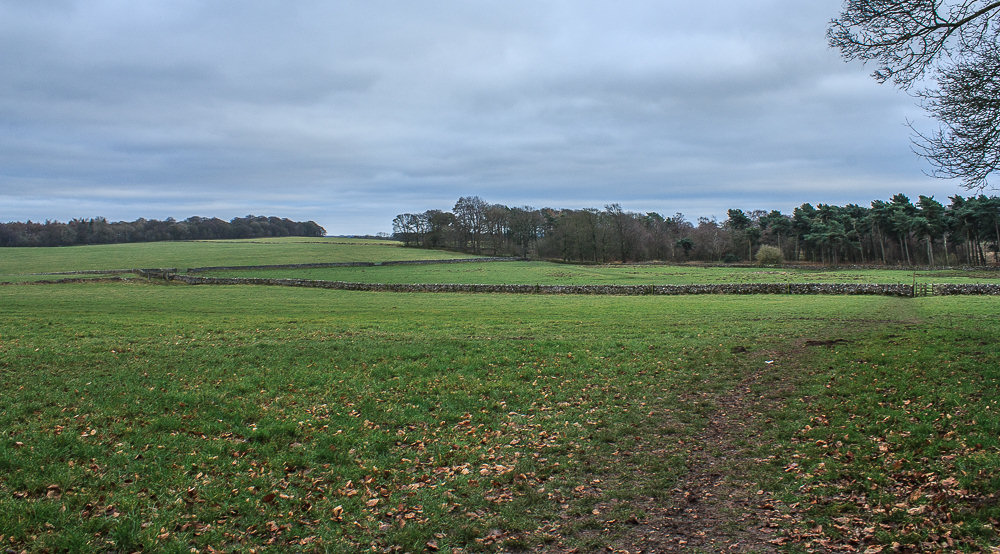Limestone Way Limestone Way